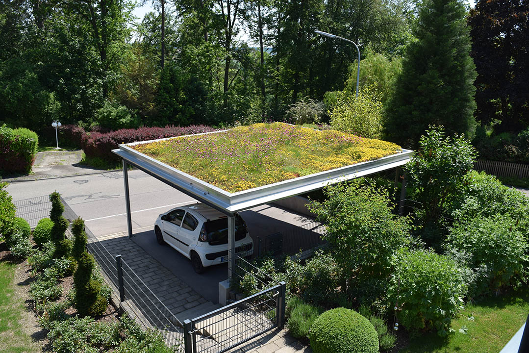 Carport mit Dachbegrünung