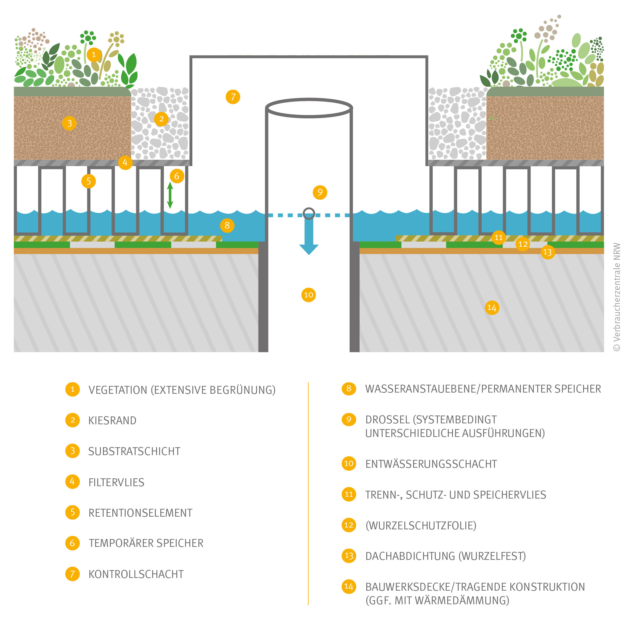 Grafik Retentionsgründach mit Drossel und Wasseranstau