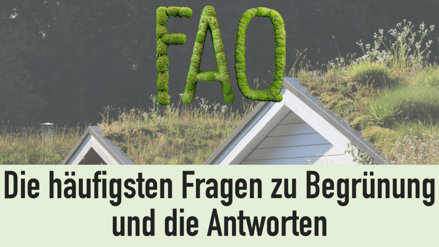 Titelbild mit Schrift FAQ zu Begrünung