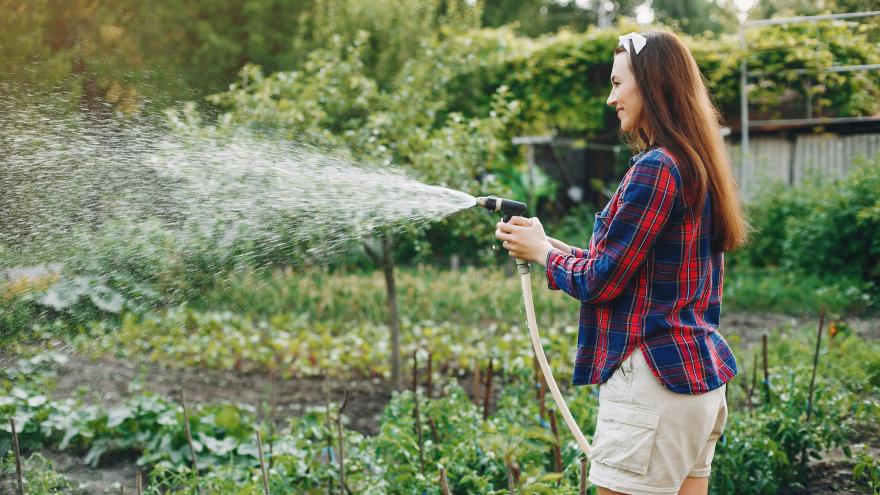 Gartenschlauch Bewässerung